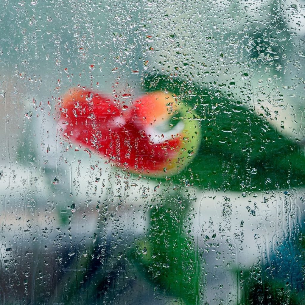 rain window
